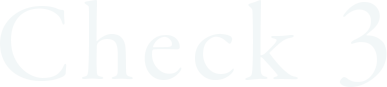Check 03